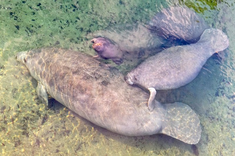 IMG 0195 - Version 2